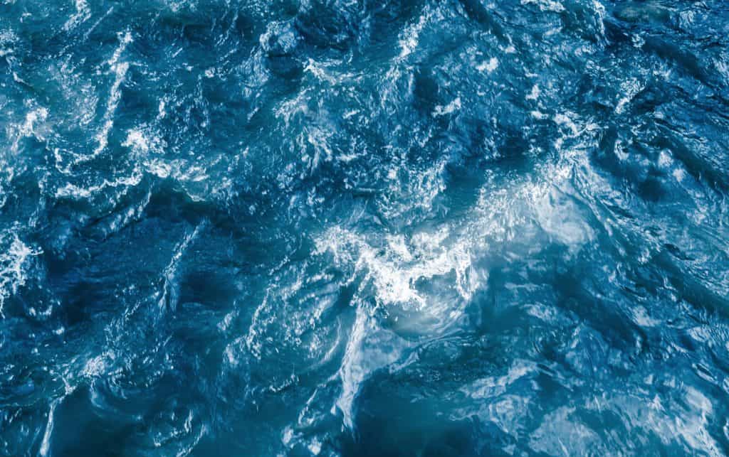 Oceanos batem recorde de temperatura em novembro (Crédito: Evannovostro/ Shutterstock)