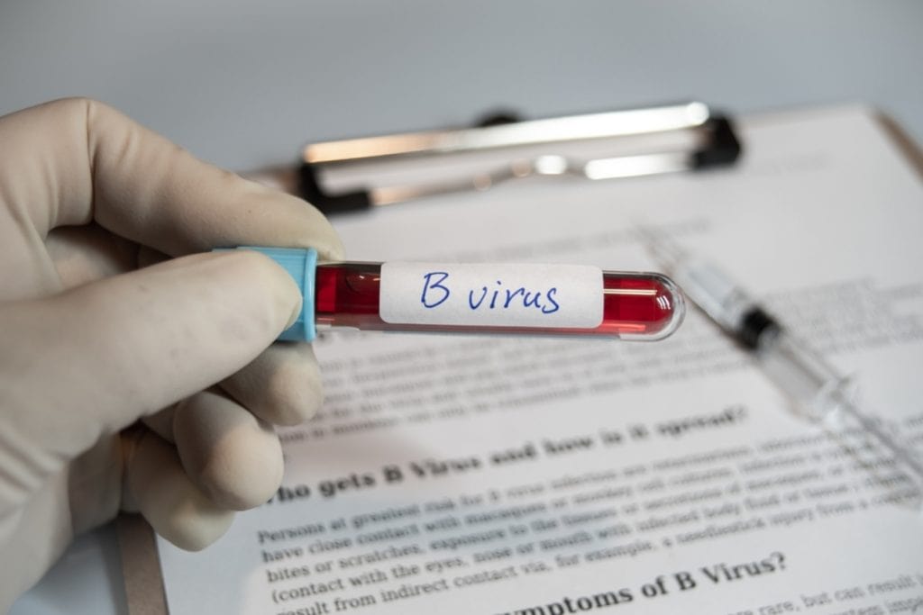 Vírus da herpes armazenado