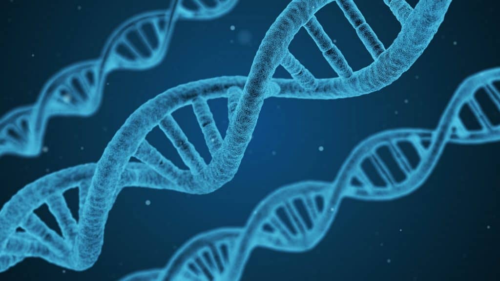 Ilustração de helix de DNA