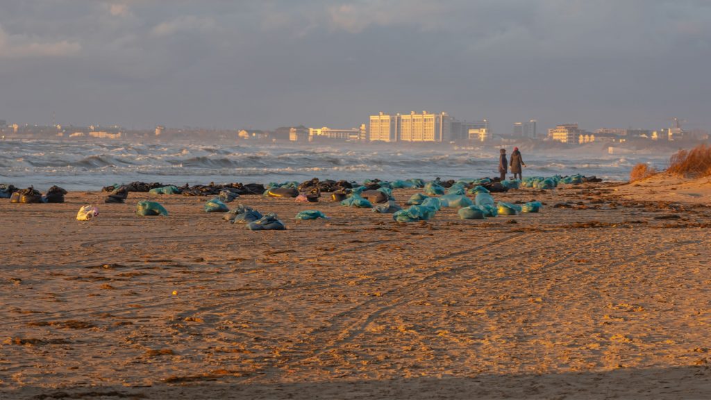 Praia no Estreito de Kerch, onde corpos de golfinhos apareceram após vazamento de óleo, com sacolas plásticas espalhadas