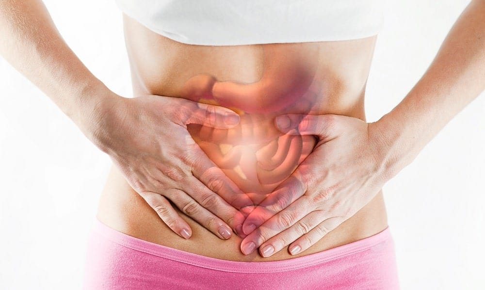 intestino