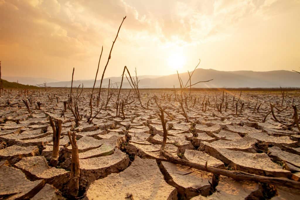 Terra seca e rachada; crise hídrica e mudanças climáticas mundiais.