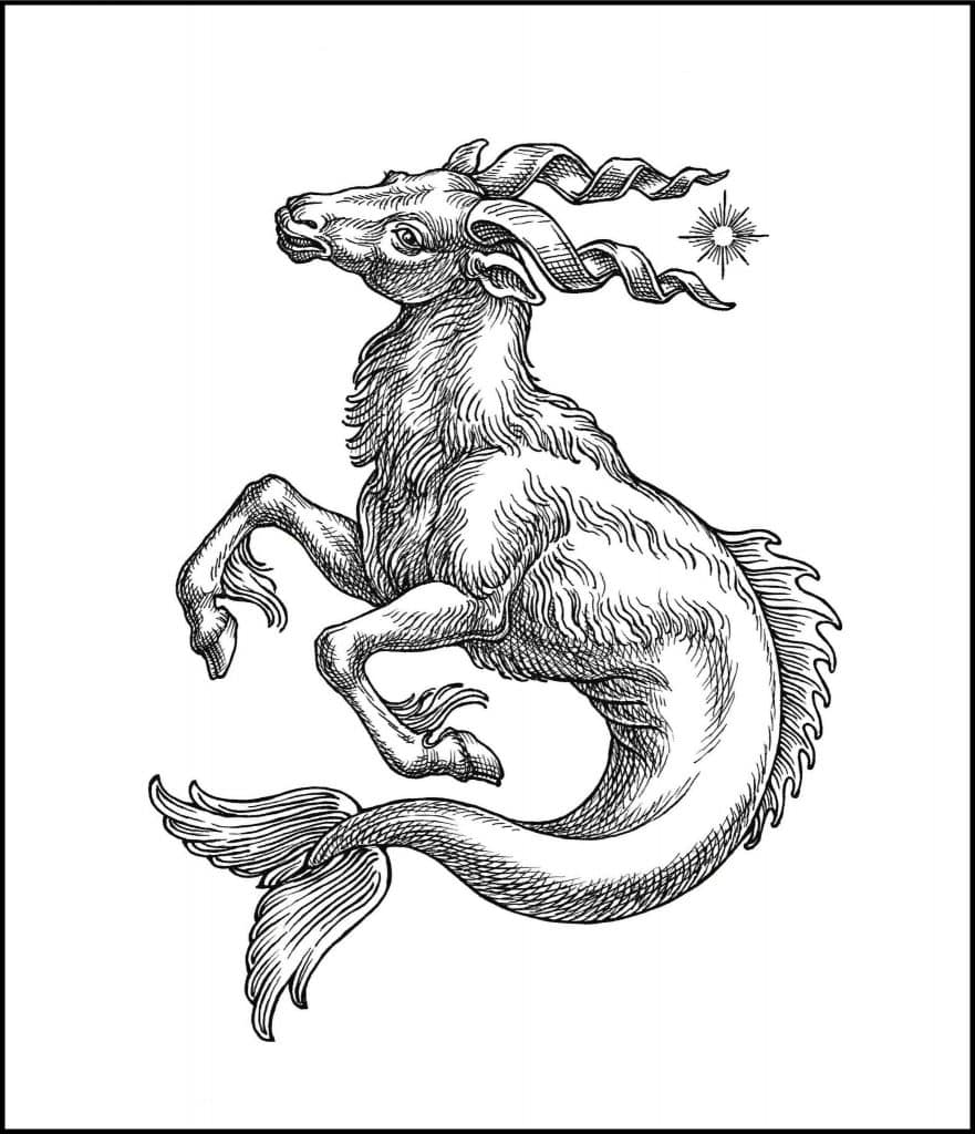 Quimera