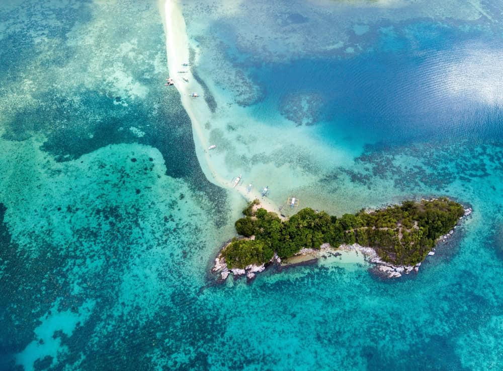 A ilha das cobras, também conhecida como Ilha da Queimada Grande, é uma ilha na costa do Brasil.