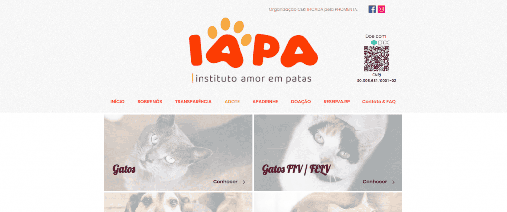 Site Amor em patas