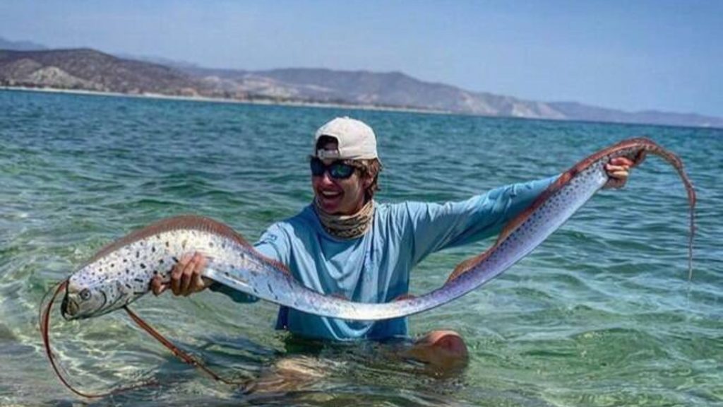 regaleco peixe remo (2)