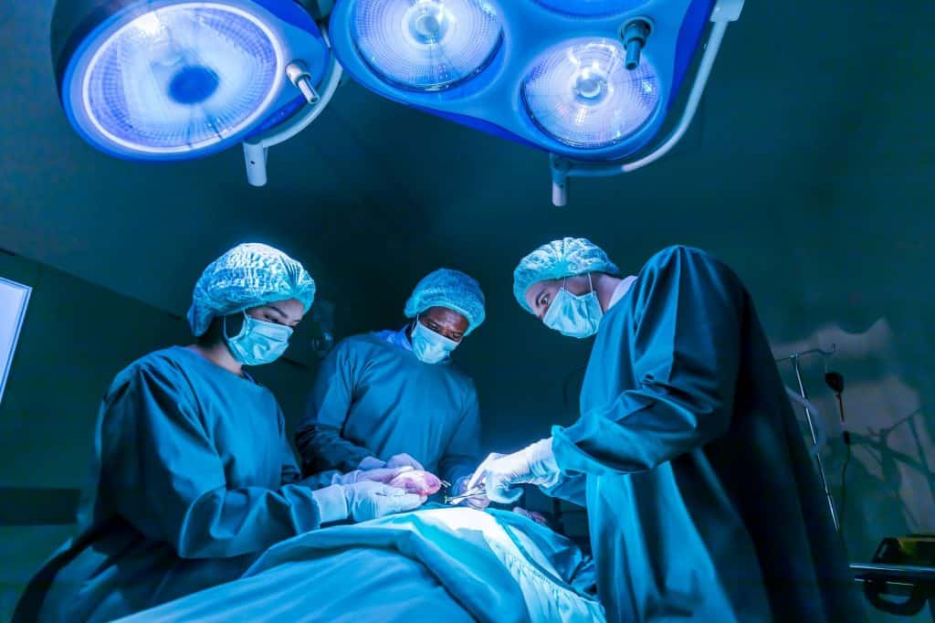 transplante