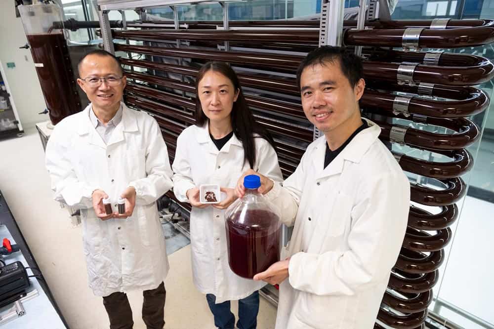 Pesquisadores da Universidade Tecnológica de Nanyang que participaram do projeto. Na foto: Professor Li Hong, Prof. Zhou Yan e Dr Zhao Hu. 