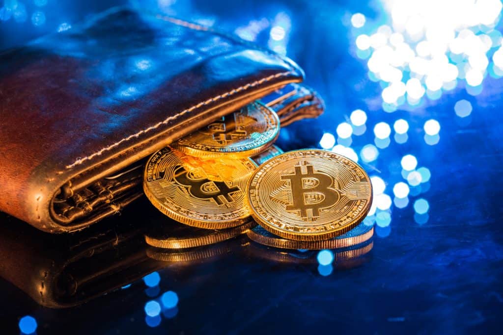 Carteira com moedas de bitcoin
