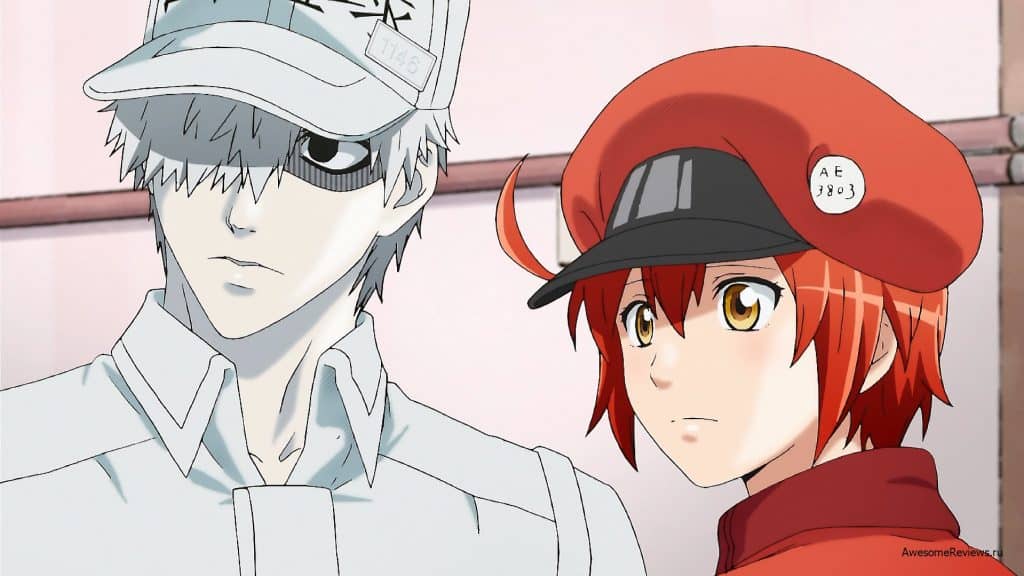 cells-at-work