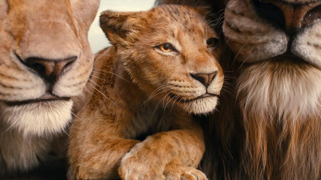 leão mufasa