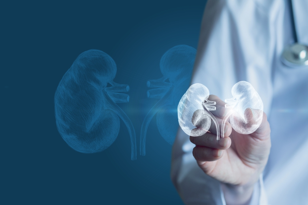 Médico mostra rins em tela virtual