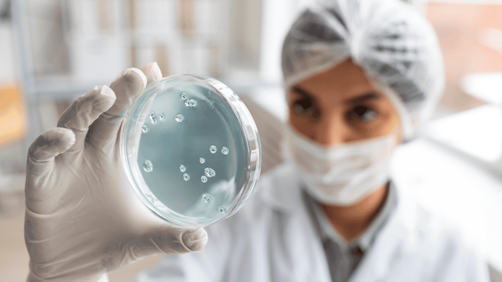 Cientista com luvas, máscara e touca segura uma placa de Petri contendo colônias de bactérias, observando atentamente a amostra em um ambiente de laboratório.
