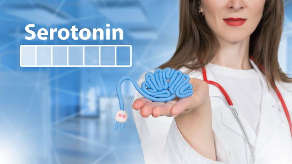 Hormônios da serotonina. Cérebro na mão do médico. Produção de hormônios no corpo humano. Efeito da serotonina no conceito de comportamento. Médica estudando o cérebro. Escala de serotonina. Córtex que gera hormônios.
