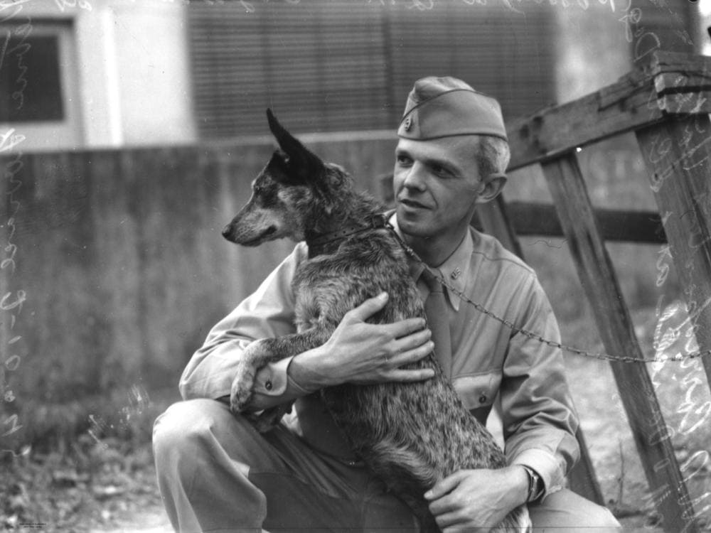 Soldado americano com um Australian cattle dog