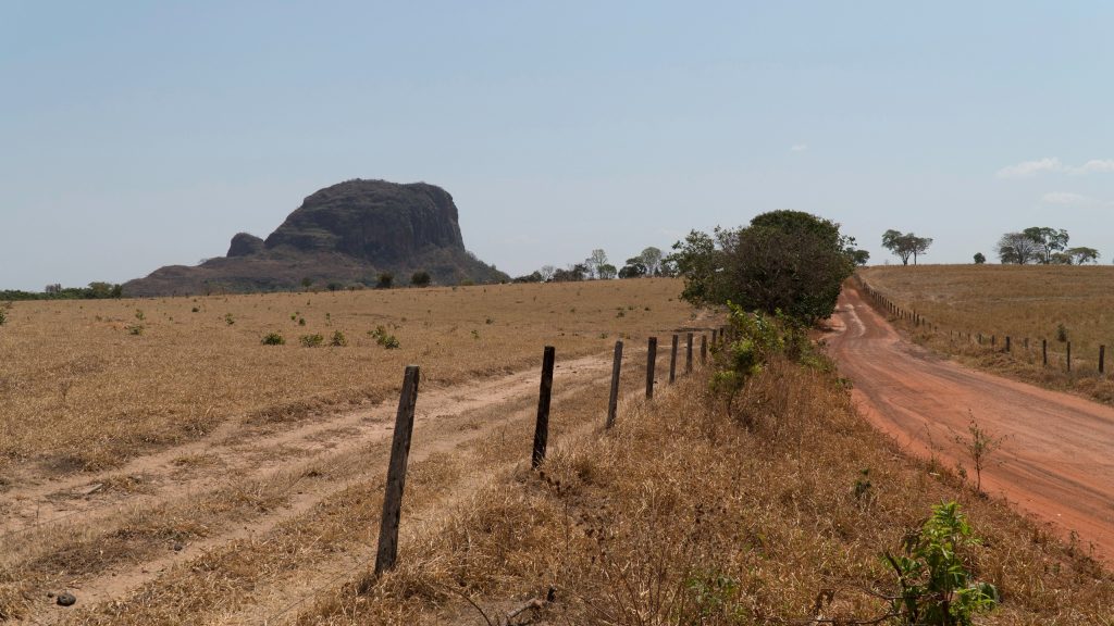 Cerrado brasileiro