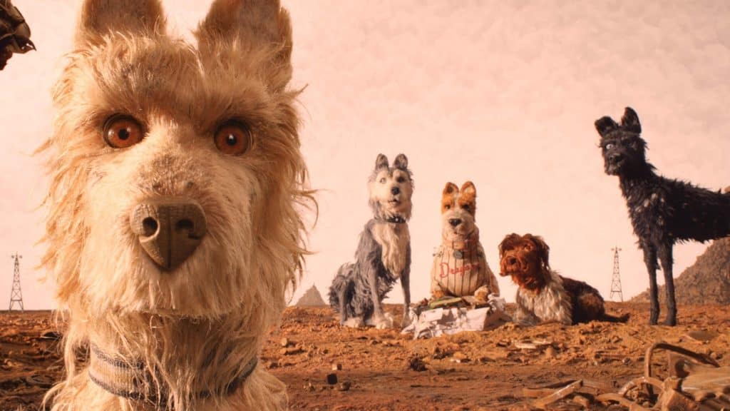 ilha-cachorros