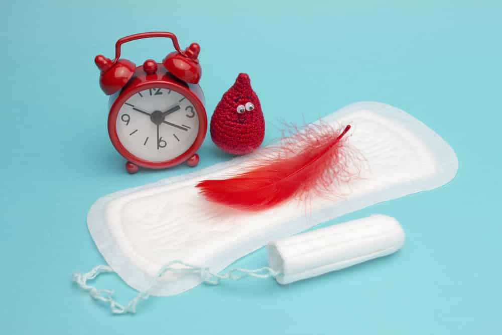menstruação fluxo menstrual absorvente