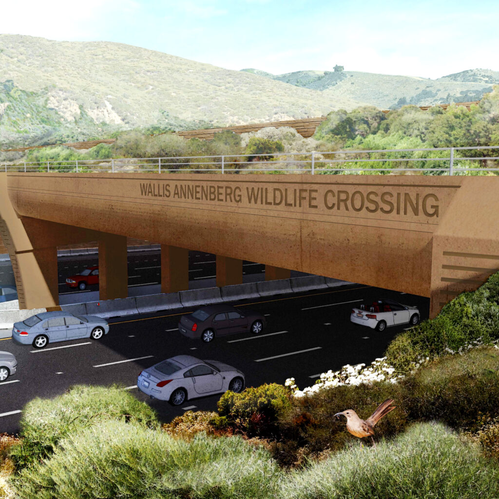 projeto do Wallis Annenberg Wildlife Crossing