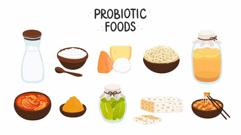 Alimentos probióticos vetoriais. Melhores fontes de probióticos. Bactérias benéficas melhoram a saúde. Elementos isolados são para rótulo, folheto, menu, publicidade, artigo sobre dietas, nutrição saudável e adequada.