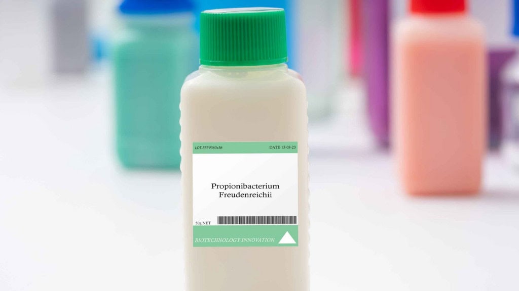 Propionibacterium freudenreichii, uma bactéria comumente usada na produção de queijo suíço, onde contribui para a formação de buracos característicos e produz um sabor de nozes.