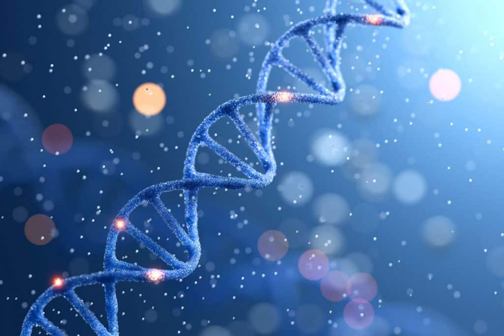 dna