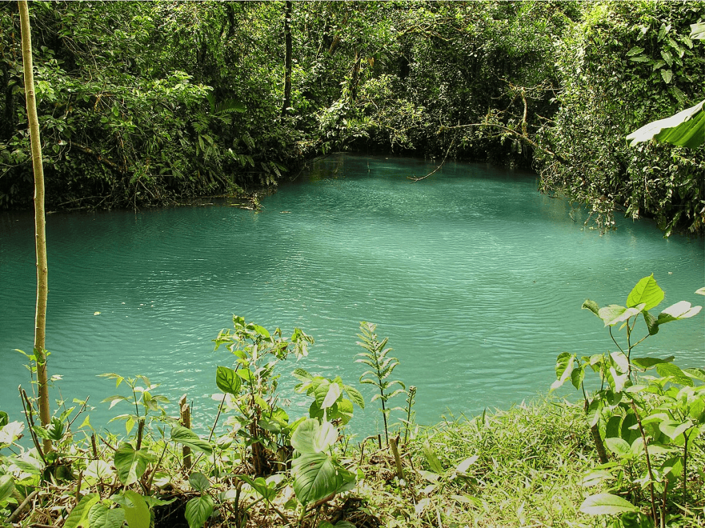 imagem mostra um rio na cor verde claro dentro de uma mata fechada