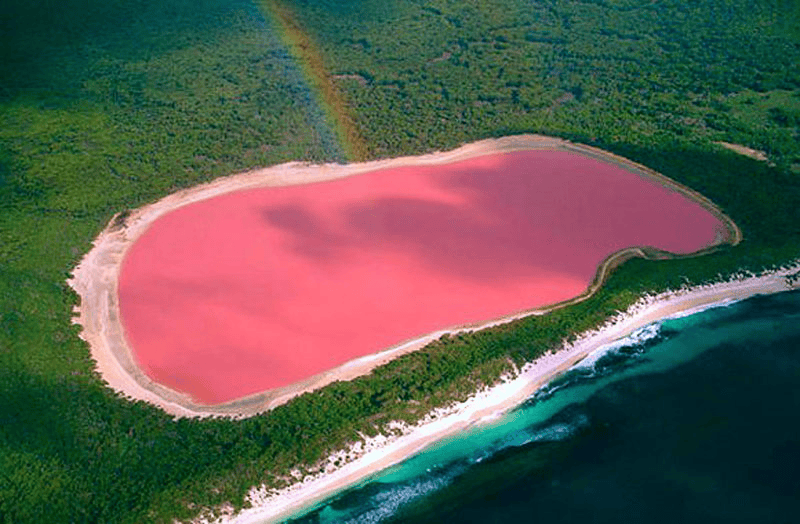 imagem mostra a vista de cima de um lago cujas águas são da cor rosa