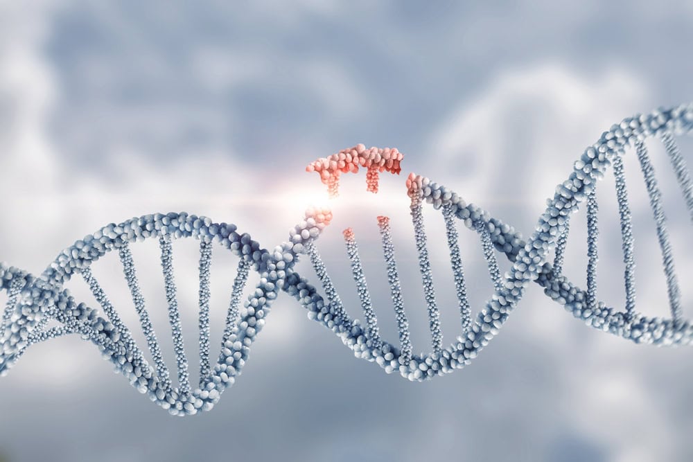 dupla hélice de dna