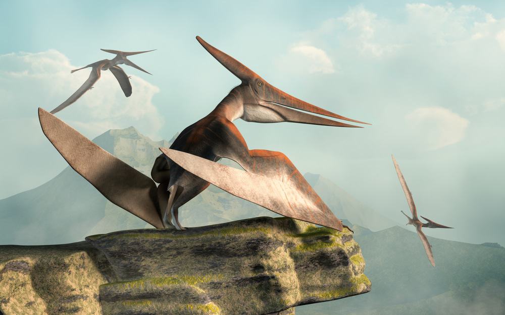 fossil-pterossauro-historia