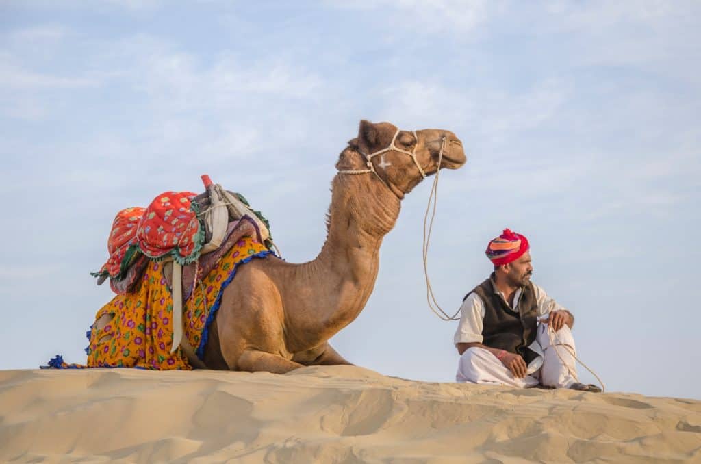 Camelos