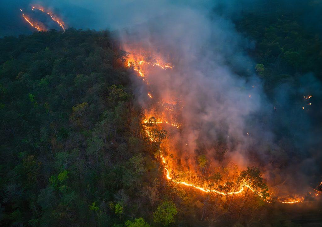 amazônia incendiada