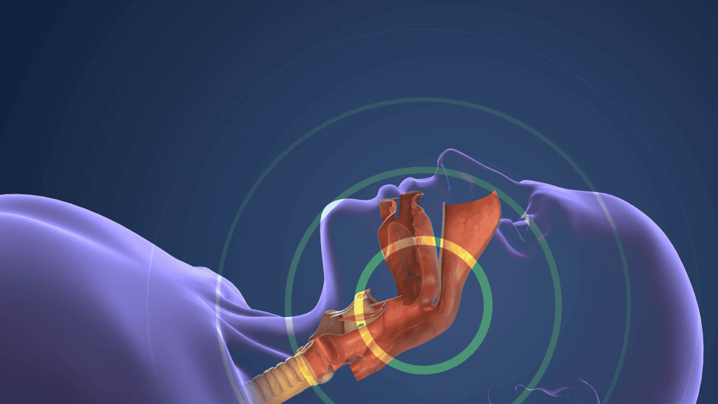 Sistema Respiratório Gerenciando a Respiração Normal e o Ronco Durante a Ilustração 3D do Sono