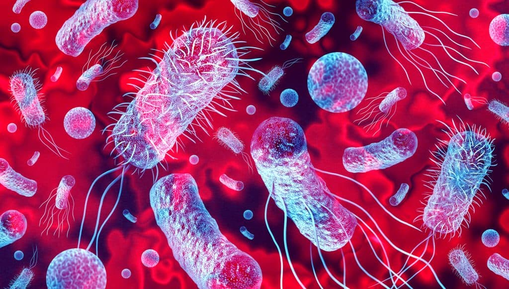 imagem mostra várias bactérias dentro do corpo humano