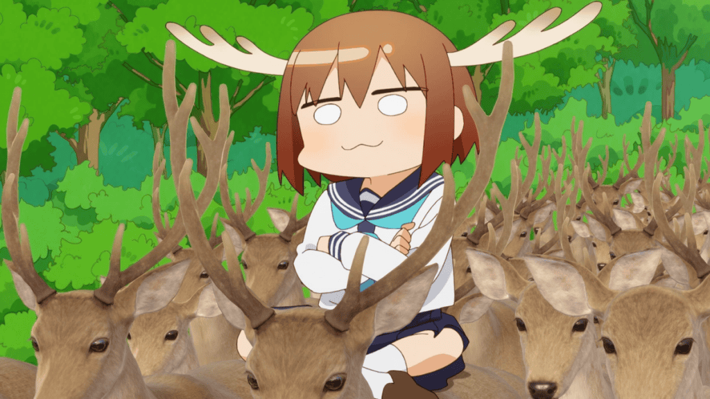 Minha Amiga Nokotan é um Cervo - Shikanoko Nokonoko Koshitantan (2024)