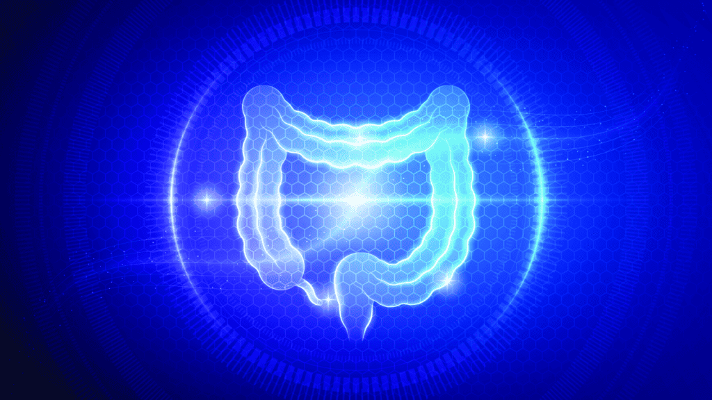 intestino