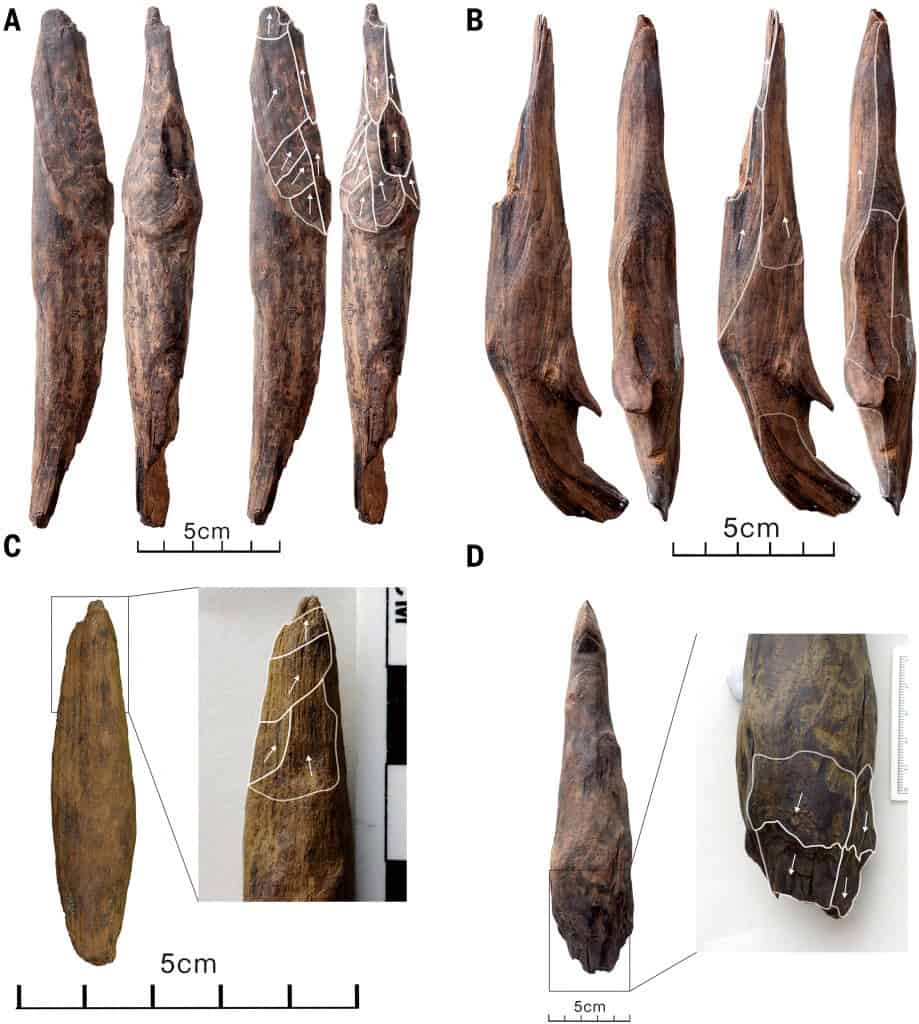 Pedaços de ferramentas de madeira na China pré-histórica