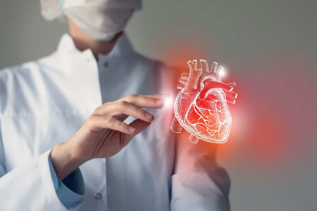 cardiovascular