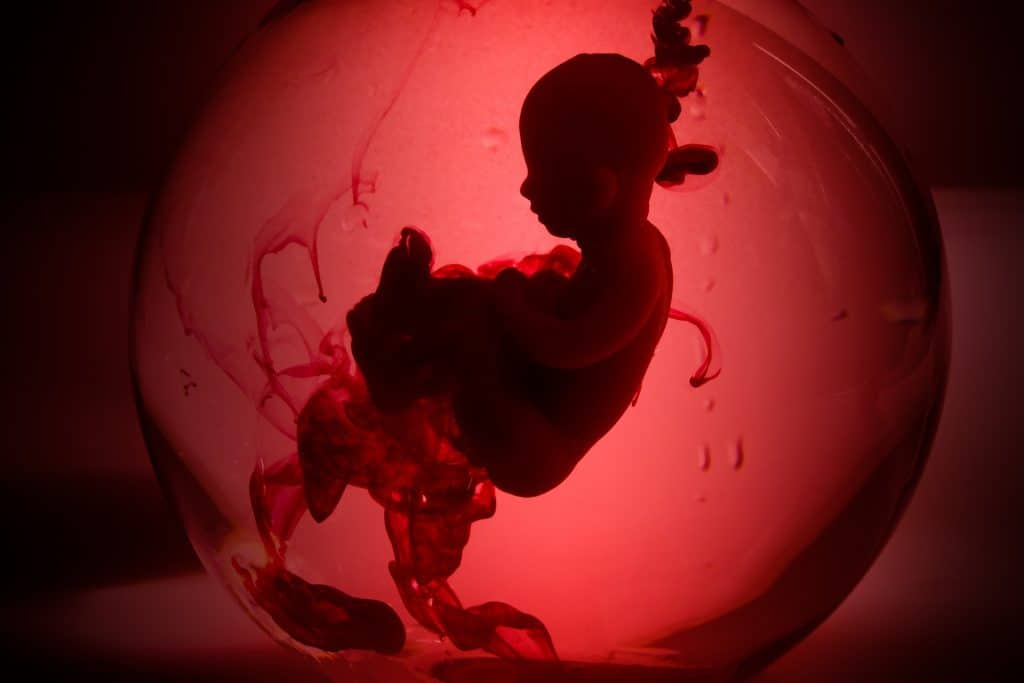 imagem mostra ilustração digital de um bebê sendo desenvolvido dentro da placenta da mãe