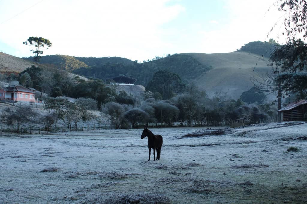 geada minas gerais