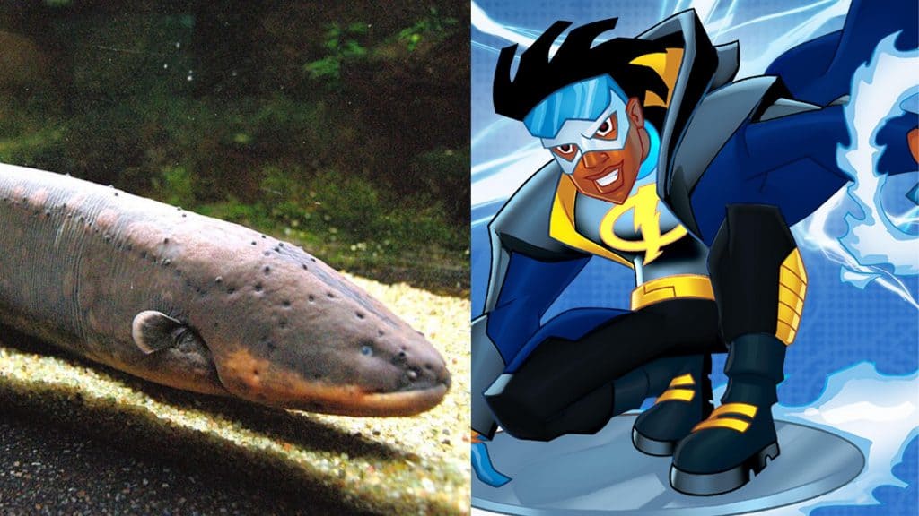 Poraquê e Super Choque