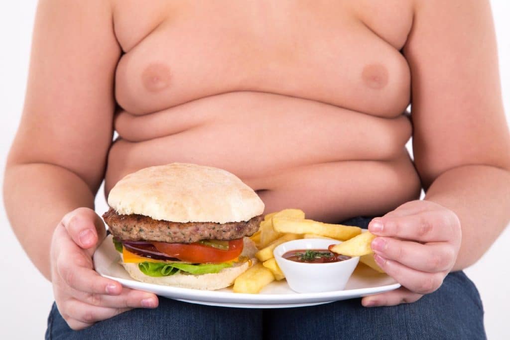 Criança comendo hambúrguer e fritas
