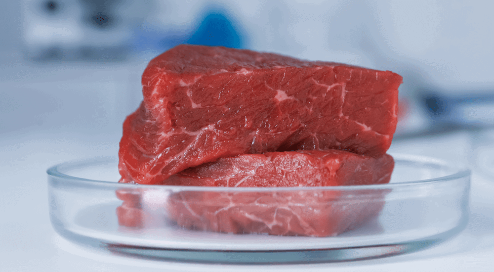 Pedaços de carne em uma travessa