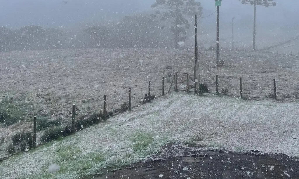 Geada em um campo