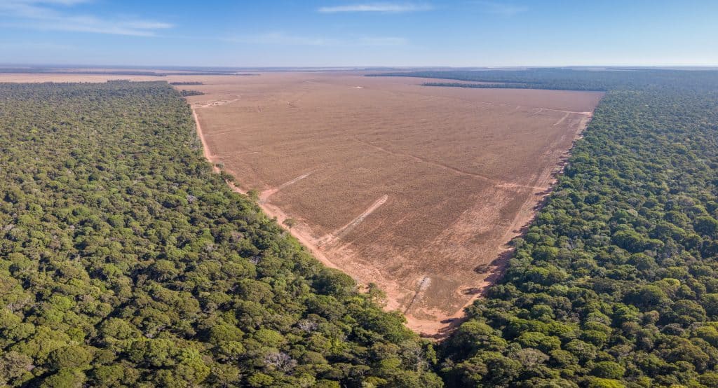 desmatamento brasil
