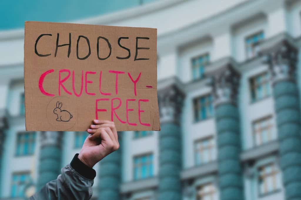 Pessoa segurando placa com os dizeres "choose cruelty free"