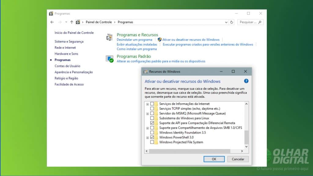 Habilitar recurso no painel de controle